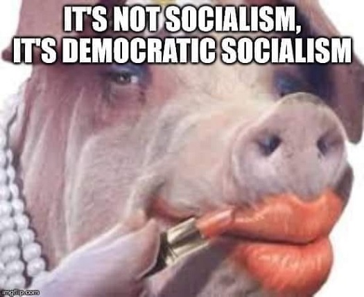 democratic socialism pig.jpg